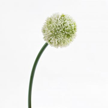 Allium de plástico BEATRISA, crema, 65cm, Ø10cm