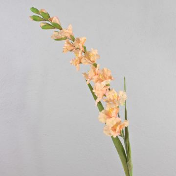 Flor artificial gladiolo THEOPHORA, albaricoque-rosa, 110 cm