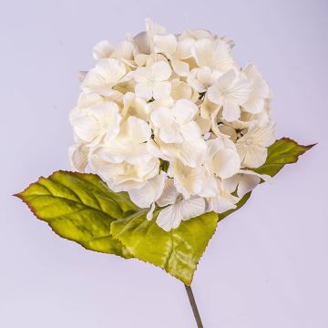 Hortensia artificial MONA, crema, 70cm, Ø16cm
