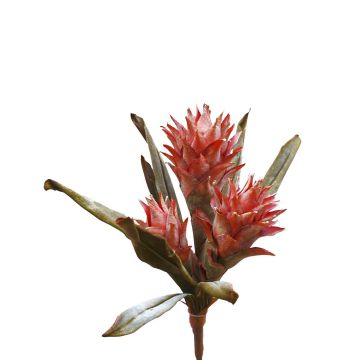 Bromelia Guzmania artificial de terciopelo WALFRIEDE en varilla, rosa viejo, 50 cm