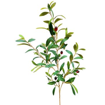 Rama de olivo ROVUMA con frutos, verde, 95 cm
