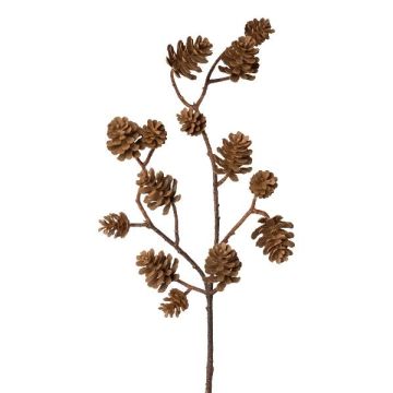 Rama decorativa Abeto KREMLA con piñas, marrón, 50 cm Rama decorativa Abeto KREMLA con piñas, marrón, 50 cm