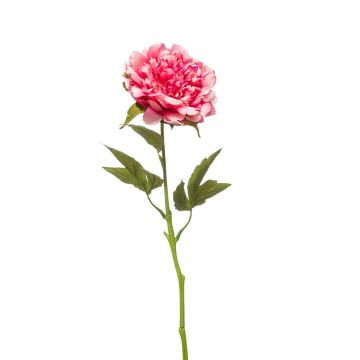 Peonía artificial GAVRON, rosa, 55 cm