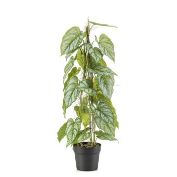 Planta artificial flor de flamenco RIFLEM, maceta decorativa, raíces aéreas, verde, 80 cm