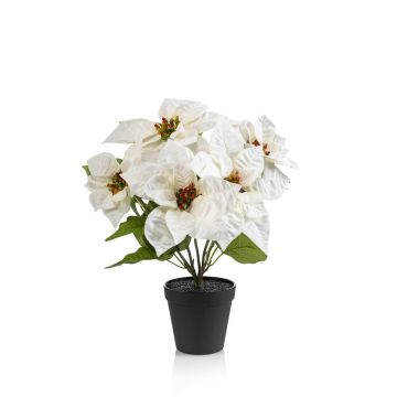 Estrella de Navidad artificial GRULEN en maceta decorativa, color crema, 40 cm