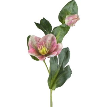 Flor artificial rosa DENDY, rosa-verde, 35 cm