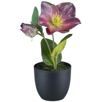 Flor artificial de rosa de Navidad DENDY, maceta decorativa, violeta, 19 cm