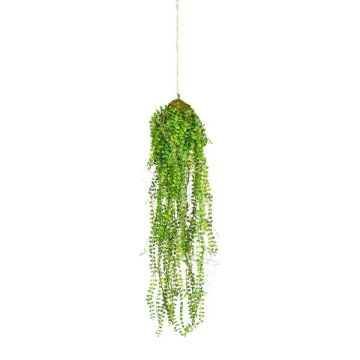 Colgante artificial Mühlenbeckia STRULH, cepa, raíces, verde, 70 cm