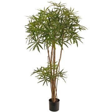 Árbol decorativo Fingeraralie KHIRIA, troncos auténticos, verde, 150 cm