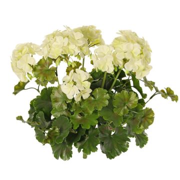 Geranio artificial MALINA en varilla, crossdoor, crema, 40 cm