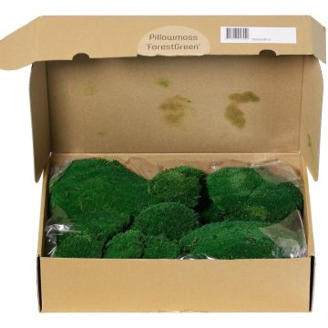 Musgo auténtico SEETHA, verde, 800 g, 0,15 m2