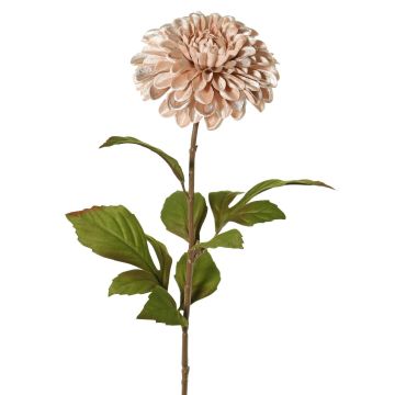Dalia de terciopelo TINFAS, rosa pálido, 60 cm, Ø 13 cm