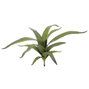 Aloe falso VERENA, con palo de fijación espacios semiprotegidos, verde, 65cm, Ø50cm