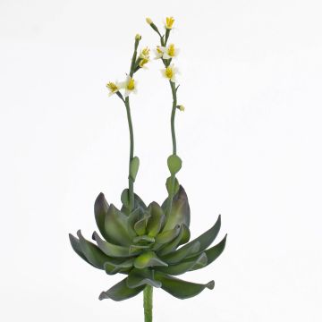 Aeonium de plástico CHARLIZE con flores, palo fijación, amarillo, 30cm