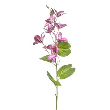 Rama decorativa Bauhinia DOWLER, rosa, 85 cm