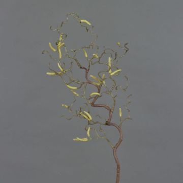 Rama de avellano artificial XANCHO, con amentos, marrón, 65cm