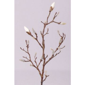 Rama de magnolia artificial ASANI, blanco, 70cm