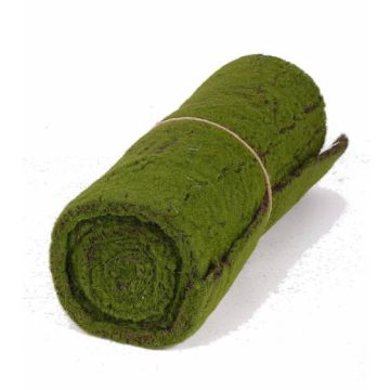 Tapiz de musgo artificial CUNO, verde-marrón, 205x50cm