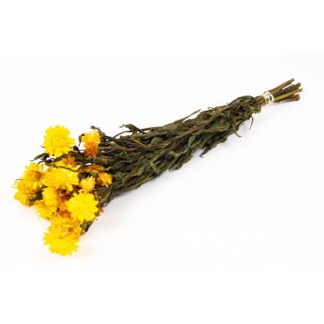 Ramo de flores de paja ALMINKA, secas, amarillas, 50-60 cm, Ø 15 cm