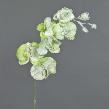 Orquídea Phalaenopsis artificial MYRIA, nevado verde, 75cm, Ø7-8cm