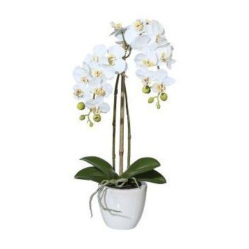 Orquídea Phalaenopsis artificial LARKEN en maceta de cerámica, raíces, blanca, 45 cm