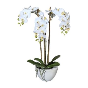 Orquídea Phalaenopsis artificial LARKEN en cuenco de cerámica, raíces, blanca, 50 cm
