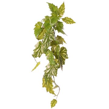Planta artificial begonia palmata OANFIR, varilla, colgante, verde, 90 cm Planta artificial begonia palmata OANFIR, varilla, colgante, verde, 90 cm