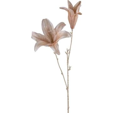 Rama decorativa de lirio UWENRA, beige-champán, 65 cm
