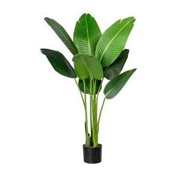 Planta artificial Strelitzia DREVORA, verde, 120 cm