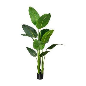 Planta artificial Strelitzia DREVORA, verde, 160 cm