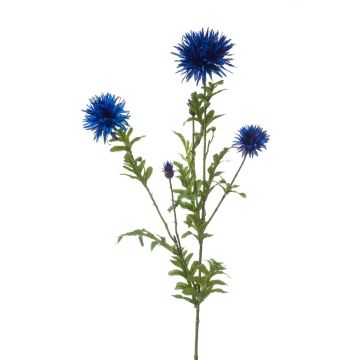 Rama decorativa de aciano BROLIX, azul, 100 cm