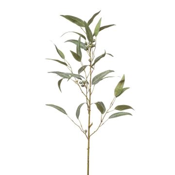 Rama artificial Eucalipto JURKA con frutos, verde-gris, 90 cm