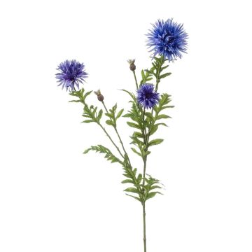 Rama decorativa de aciano BROLIX, azul claro, 100 cm
