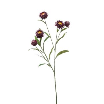 Rama decorativa de flor de paja SNAVIK, morada, 70 cm