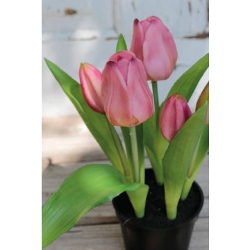 Tulipán artificial CAITLYN en maceta decorativa, lila-verde, 25cm, Ø2-6cm