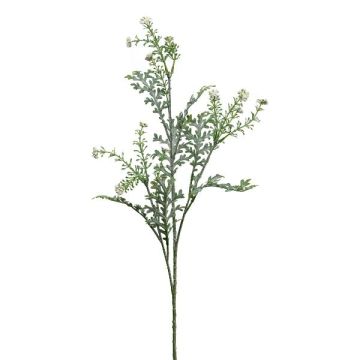 Rama decorativa hierba cana plateada KRANVE con flores, gris verdoso, 60 cm