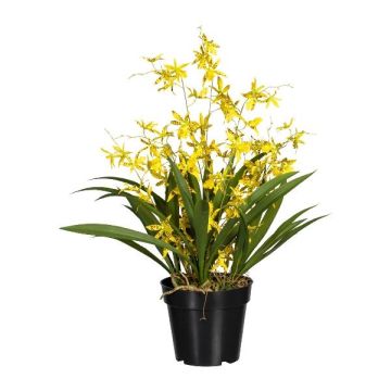 Flor artificial Oncidium GLIMBAR, raíces, amarillo, 60 cm