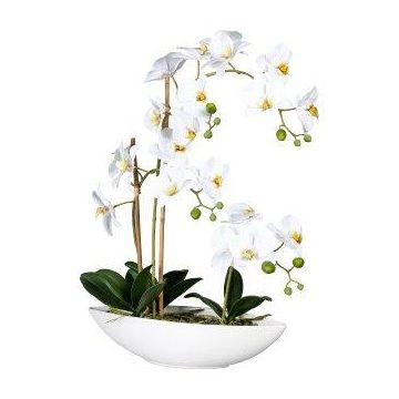 Orquídea Phalaenopsis artificial JELTRON, recipiente de cerámica, raíces, blanco, 60 cm Orquídea Phalaenopsis artificial JELTRON, recipiente de cerámica, raíces, blanco, 60 cm