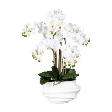 Orquídea Phalaenopsis artificial ZALBROK, jarrón decorativo blanco, raíces, blanco, 75 cm