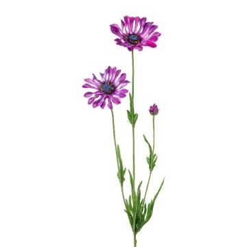 Rama decorativa margarita NIELAY, lila, 65 cm