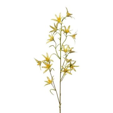 Rama decorativa Tweedia solanoides ZORHIL, verde metalizado, 75 cm