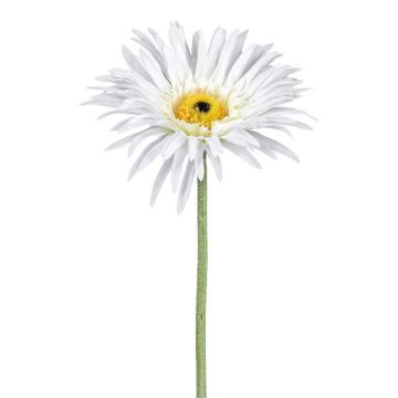 Flor decorativa Gerbera FELISY, blanca, 65 cm
