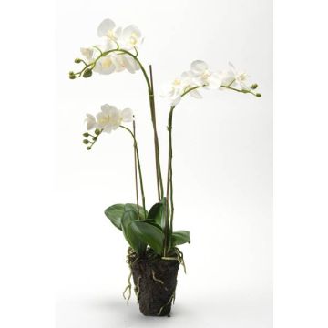 Orquídea Phalaenopsis artificial PABLA bola tierra, blanco, 70cm, Ø8-10cm