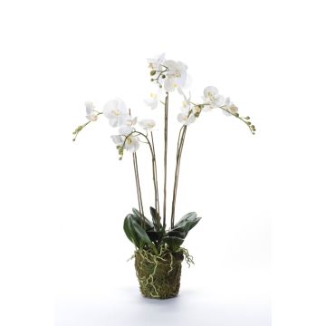 Orquídea Phalaenopsis artificial PABLA lecho musgo, blanco, 90cm, Ø10-13cm