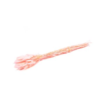 Hierba seca Lagurus BORKA, ramillete, rosa, 55-75 cm, Ø 12 cm