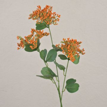 Ajo de oso artificial WONDI, naranja, 65 cm