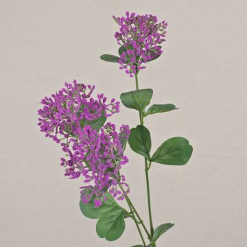 Ajo de oso artificial WONDI, violeta, 65 cm