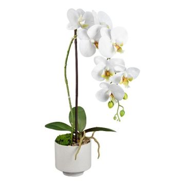 Flor artificial Phalaenopsis YENJU en maceta de cerámica, raíces, blanca, 55 cm
