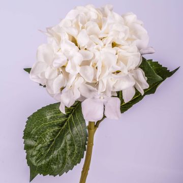 Hortensia flor de simulación GABRIELLA, crema, 50cm, Ø18cm