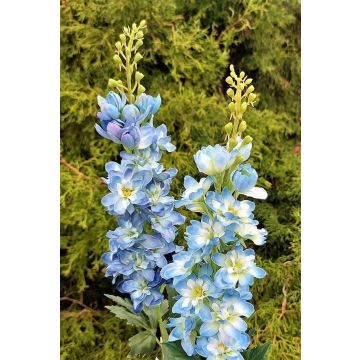 Flor artificial espuela de caballero ZIRKAN, azul, 75 cm